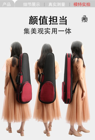 portable violin case with pressure-resistant triangular violin